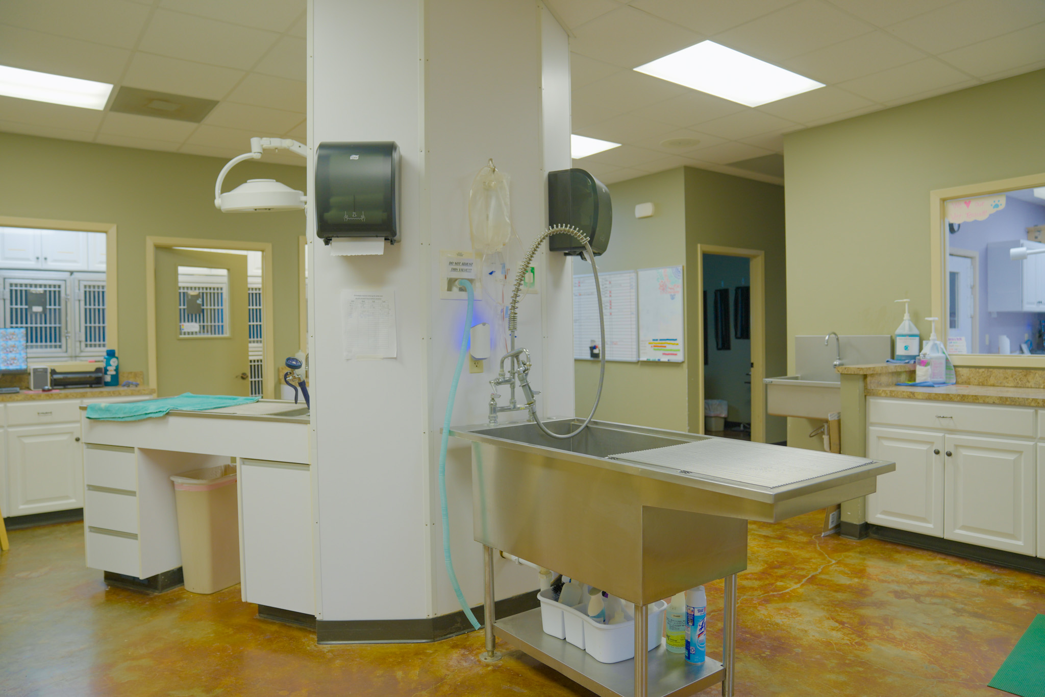 Dr. Kevin Fuselier, veterinarian at Bellevue Animal Clinic in Opelousas, LA